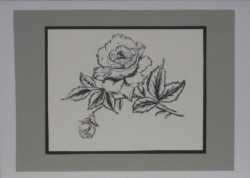 SO�ALNICA TISKANA B12