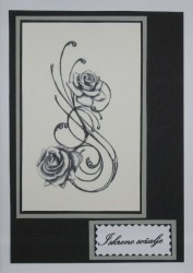 SO�ALNICA TISKANA A02