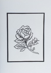 SO�ALNICA TISKANA A10