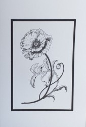 SO�ALNICA TISKANA A11