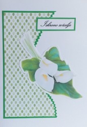 SO�ALNICA TISKANA A12