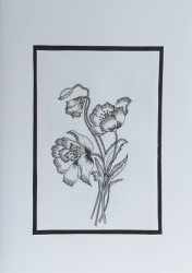 SO�ALNICA TISKANA B05