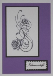 SO�ALNICA TISKANA B07