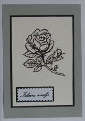 SO�ALNICA TISKANA B09