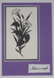 SO�ALNICA TISKANA B15