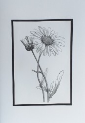 SO�ALNICA TISKANA B18