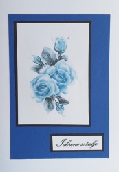 SO�ALNICA TISKANA C24