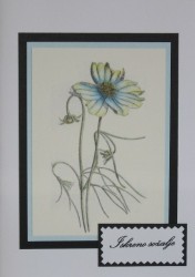 SO�ALNICA TISKANA D01