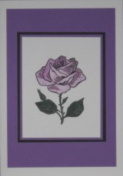 SO�ALNICA TISKANA D03