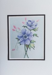 SO�ALNICA TISKANA D22