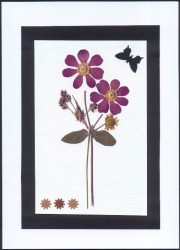 SOALNICA TISKANA G07