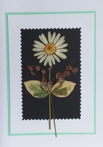 TELEGRAM SOALNICA SUHO CVETJE B12 (rono delo)