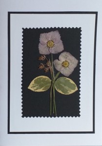 TELEGRAM SOALNICA SUHO CVETJE B18 (rono delo)