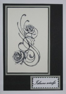 SO�ALNICA TISKANA A02