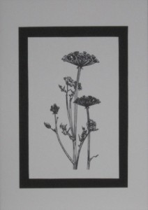 SO�ALNICA TISKANA A06