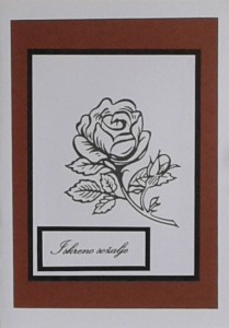 SOALNICA TISKANA A09