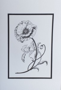 SO�ALNICA TISKANA A11