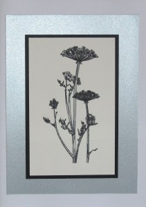 SO�ALNICA TISKANA B04