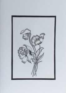 SO�ALNICA TISKANA B05