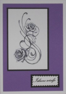 SO�ALNICA TISKANA B07