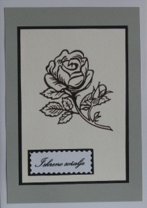 SO�ALNICA TISKANA B09