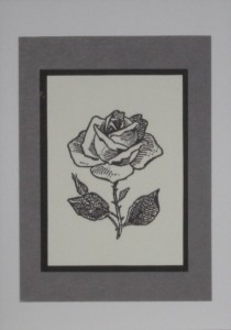 SO�ALNICA TISKANA B10