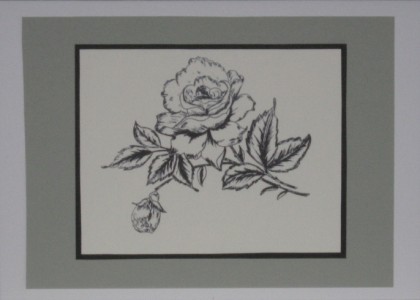 SO�ALNICA TISKANA B12