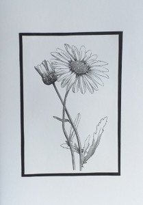 SO�ALNICA TISKANA B18