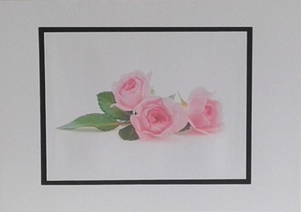 SO�ALNICA TISKANA C03