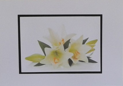 SOALNICA TISKANA C23