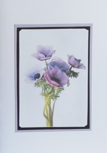 SO�ALNICA TISKANA C32