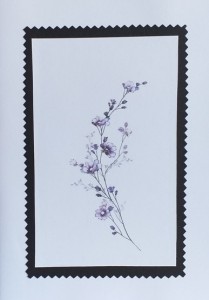 SO�ALNICA TISKANA D15