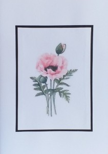 SO�ALNICA TISKANA D16