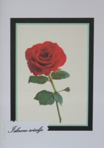 SO�ALNICA TISKANA E01