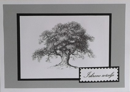 SOALNICA TISKANA F07